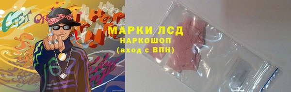 прущие грибы Алзамай