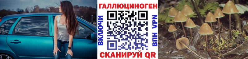 купить наркотики цена  Цоци-Юрт  Галлюциногенные грибы MAGIC MUSHROOMS 
